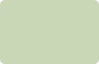 Paint